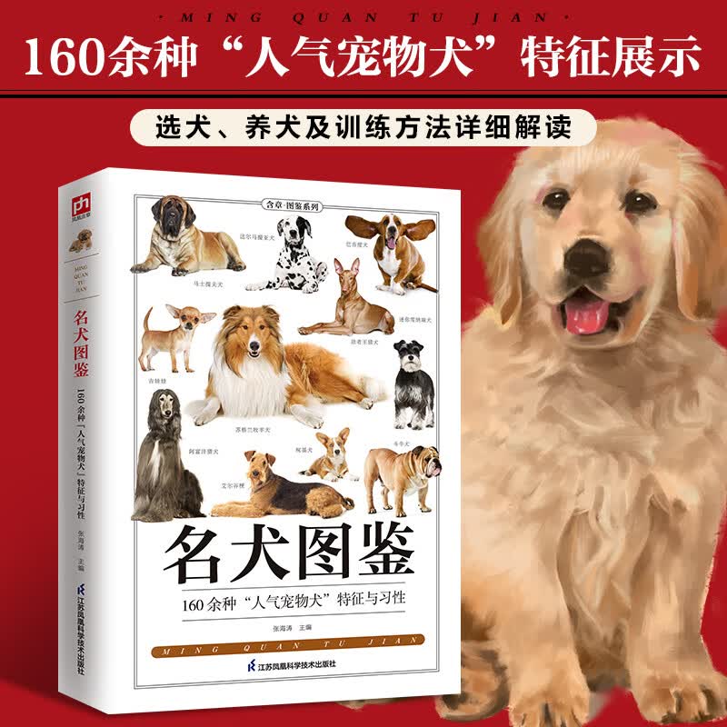 名犬图鉴 宠物犬特征与习性大全 宠物犬科普知识百科全书 宠物狗喂养常识饮食护理 爱犬人士应用手册 家庭亲子科普知识普及图书籍