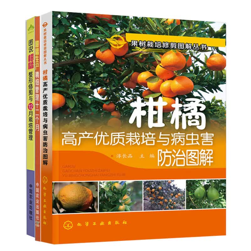 全3册 柑橘生产精细管理十二个月+图说柑橘整形修剪与12月栽培管理+柑橘高产优质栽培与病虫害防治图解柑橘栽培新技术果树种植技术怎么样,好用不?