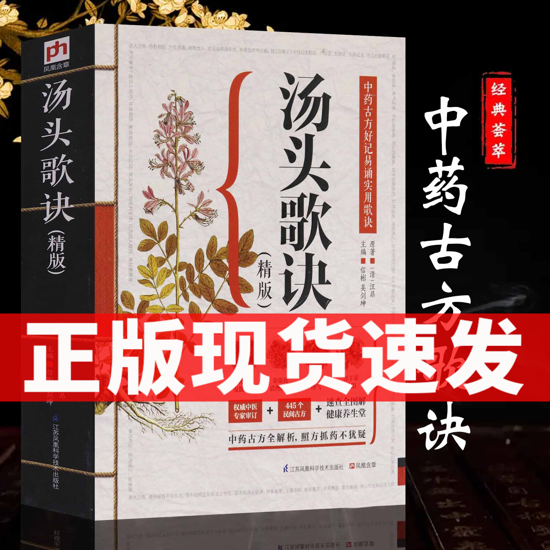 汤头歌诀正版 白话解全书详解图解 中药配方精版 中医名著入门 养生