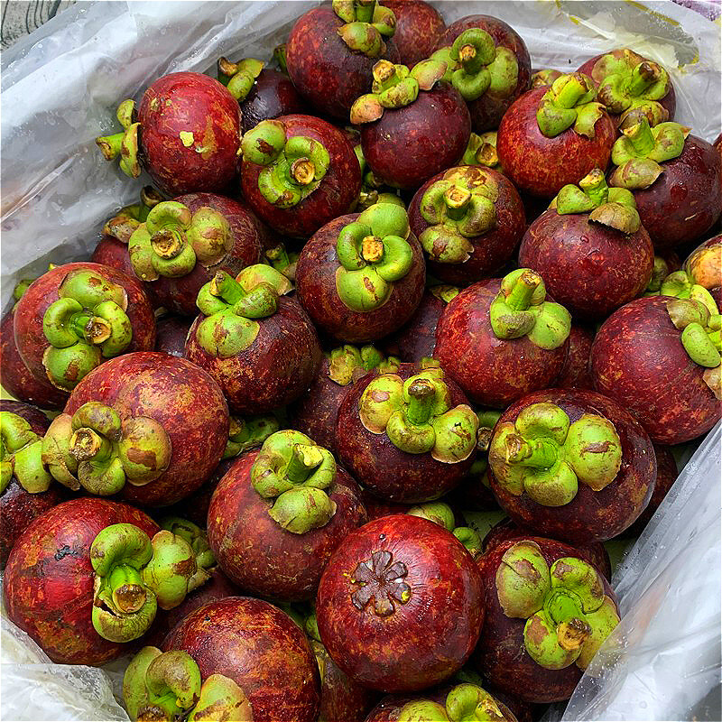 山竹商品历史价格查询|山竹价格走势图