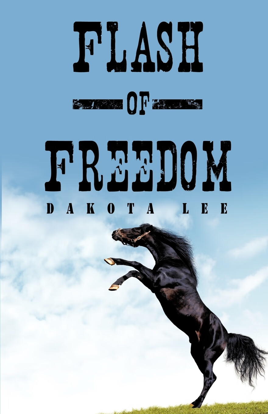 【预售 按需印刷】flash of freedom