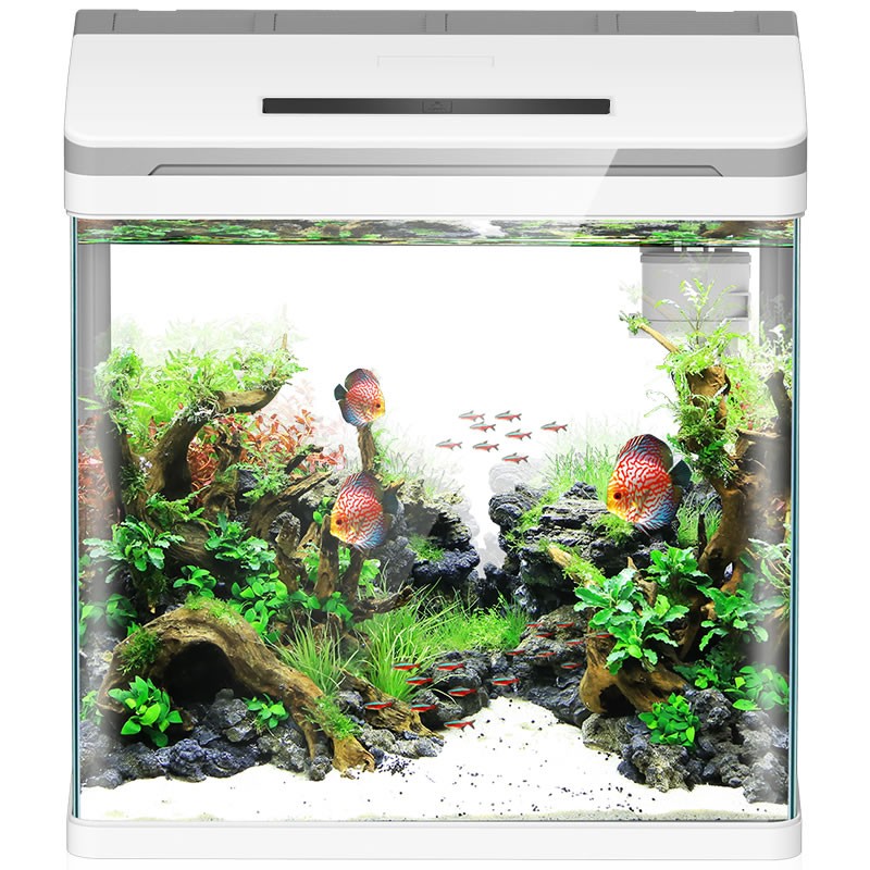 大伙分析森森（SUNSUN）鱼缸水族箱怎么样，亲测解析内情