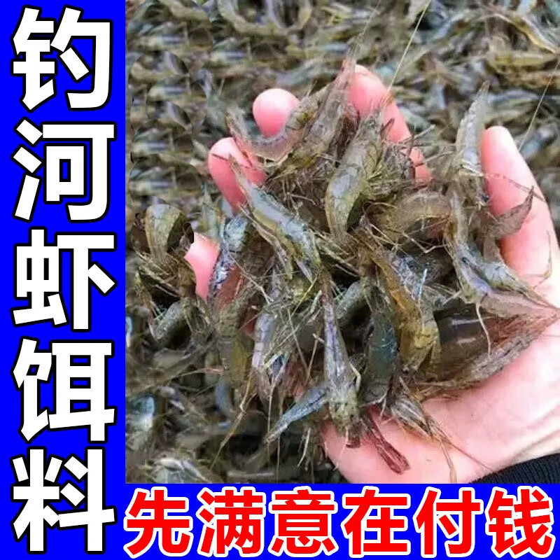 老偏方抓河虾饵料河虾诱饵强力诱食剂老偏方爆笼饵料捕虾灵鱼虾黄鳝通用 1包装