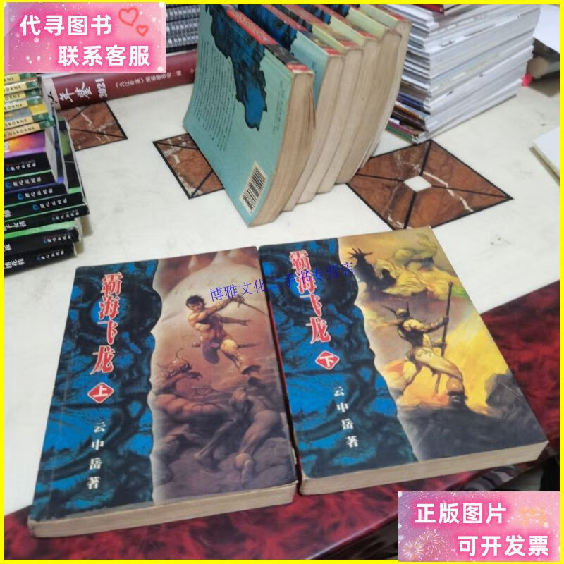 【二手9成新】武侠-重出江湖系列 霸海飞龙 上下册 /云中岳 西藏