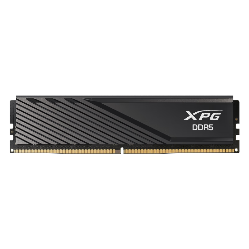 XPGD300 16G/32G DDR5 6000  6400 ̨ʽڴ ʿ ֧XMP3.0 EXPO D300 6000 16Gx2 M-die685Ԫ