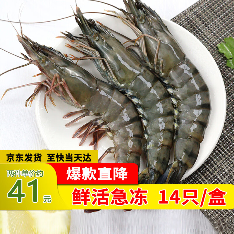 瀚通黑虎虾500g 活冻大虾 超大生鲜虾类 海鲜水产 净虾350g 大号 (12-14)只/盒