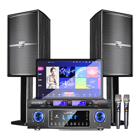 ڲ£Amoiͥktvװȫ豸ͥӰԺKһok㳪 TOP1ھ202410װ1969Ԫ