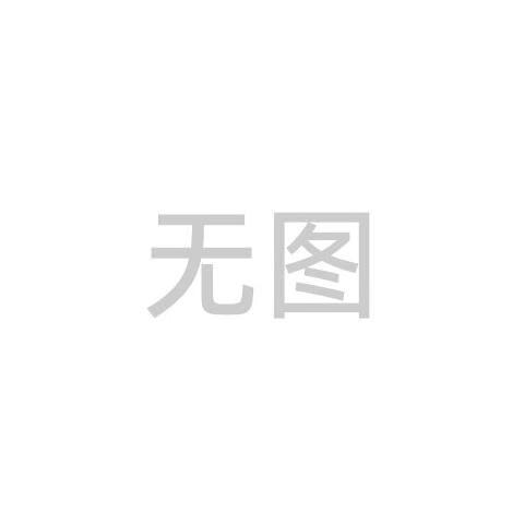 君量适用解放j6楔块总成 j6p楔式制动扩张器 刹车制动 楔块修理包配件