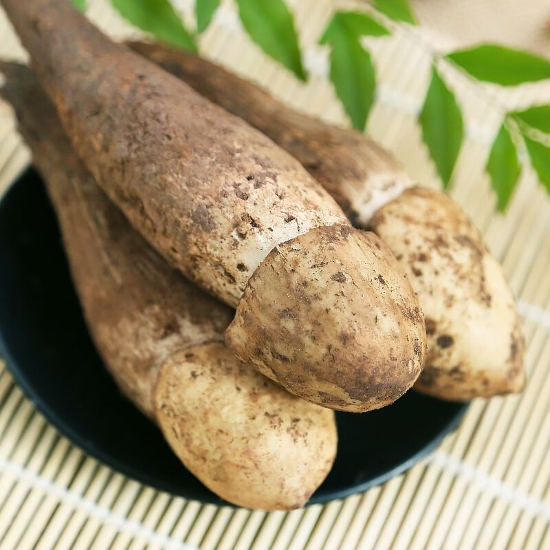 星云湖【现货顺丰】云南野生鸡枞菌 新鲜菌菇蘑菇名菌山珍时令中秋送礼 开伞鸡枞菌(适合炸油鸡枞)4斤