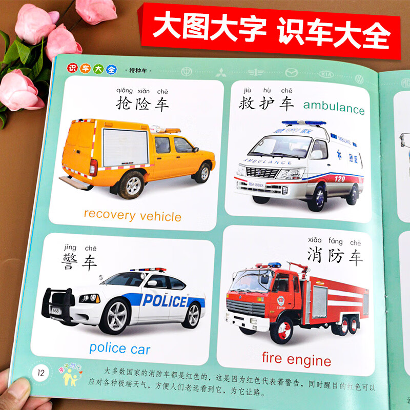 小树丫宝宝双语启蒙认知大全识车大全幼小衔接早教书