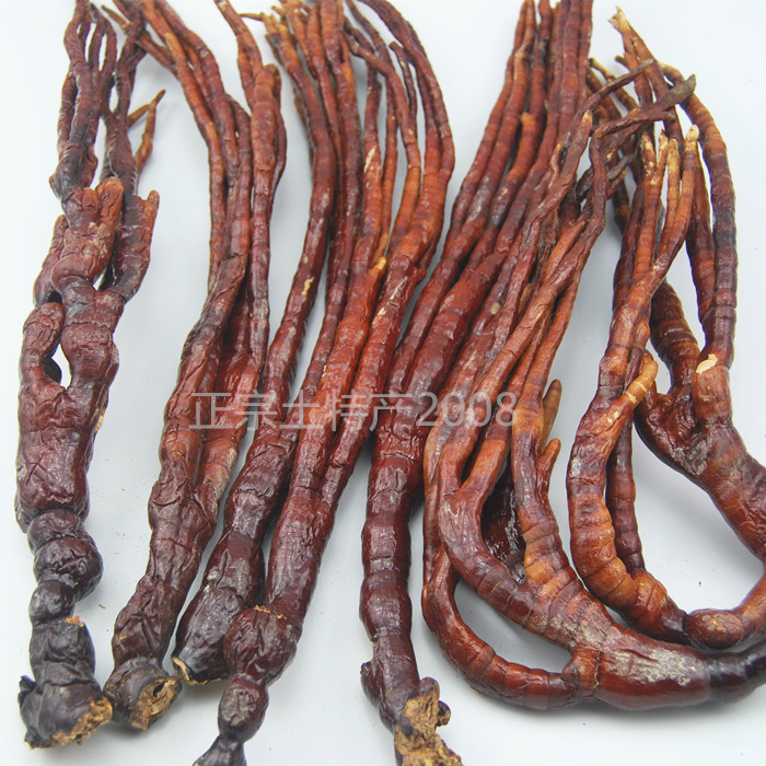 鹿角灵芝 特级整只半野生灵芝草佛手泡酒灵芝茶 500g  500g