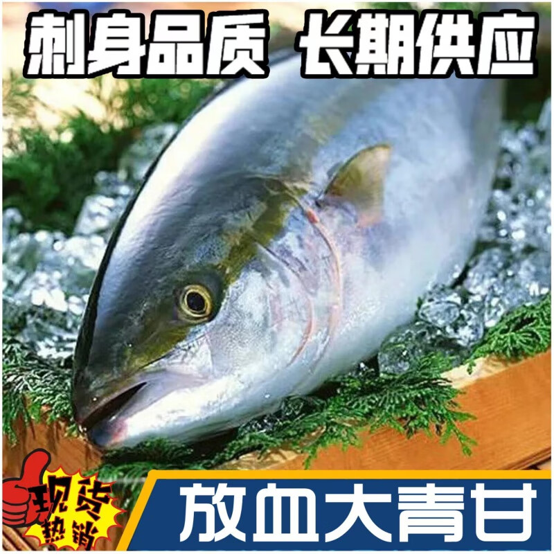 伯贤 放血冰鲜油甘鱼刺身青甘鱼黄狮鱼章红鱼鰤鱼日式刺身 6-7斤放血