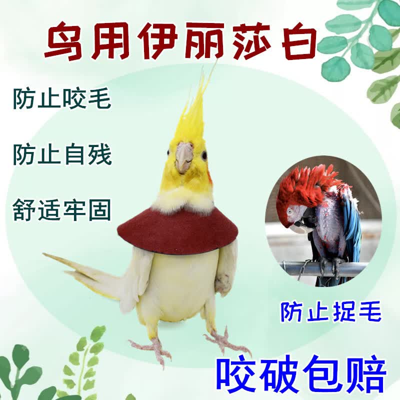 云禾鹦鹉鸟用伊丽莎白圈防咬毛啄毛受伤保护项圈脖套 虎皮脖圈