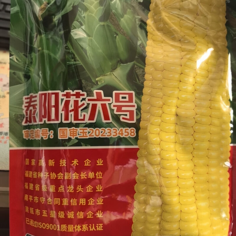 太阳花6号玉米种子泰系超甜玉米种高产鲜食玉米种子直销 原厂(400克)