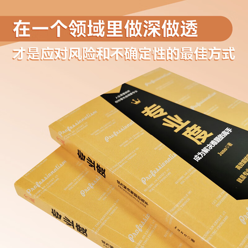 正版全新 专业度:成为解决难题的高手