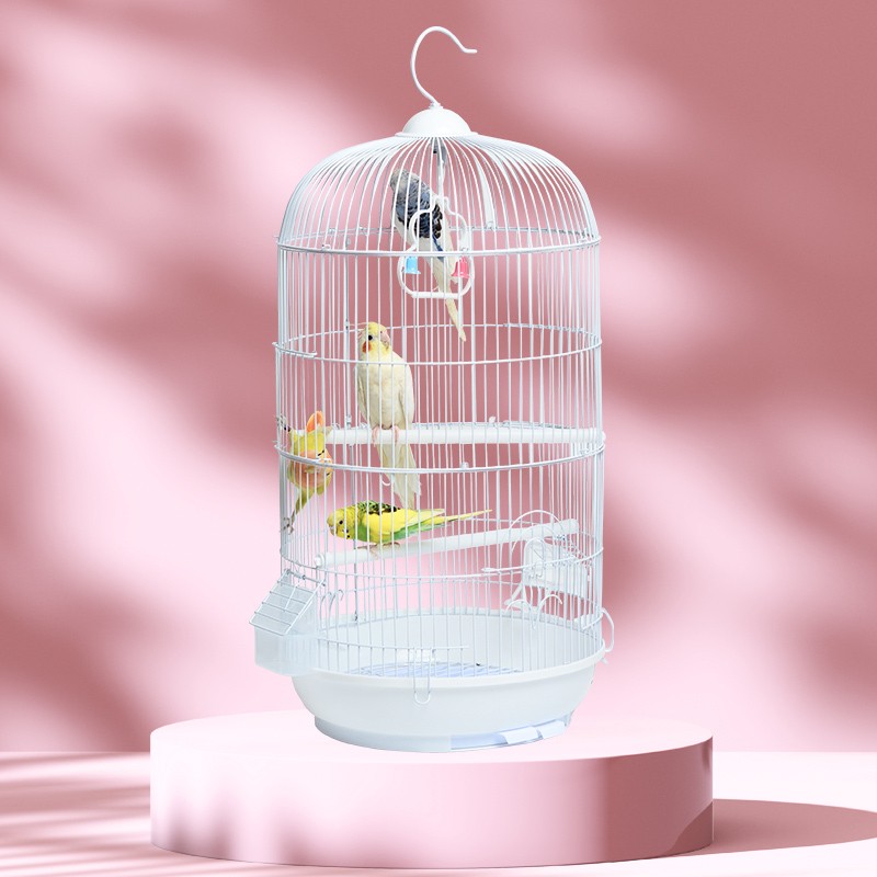 鸟类用品商品历史价格查询入口|鸟类用品价格走势图