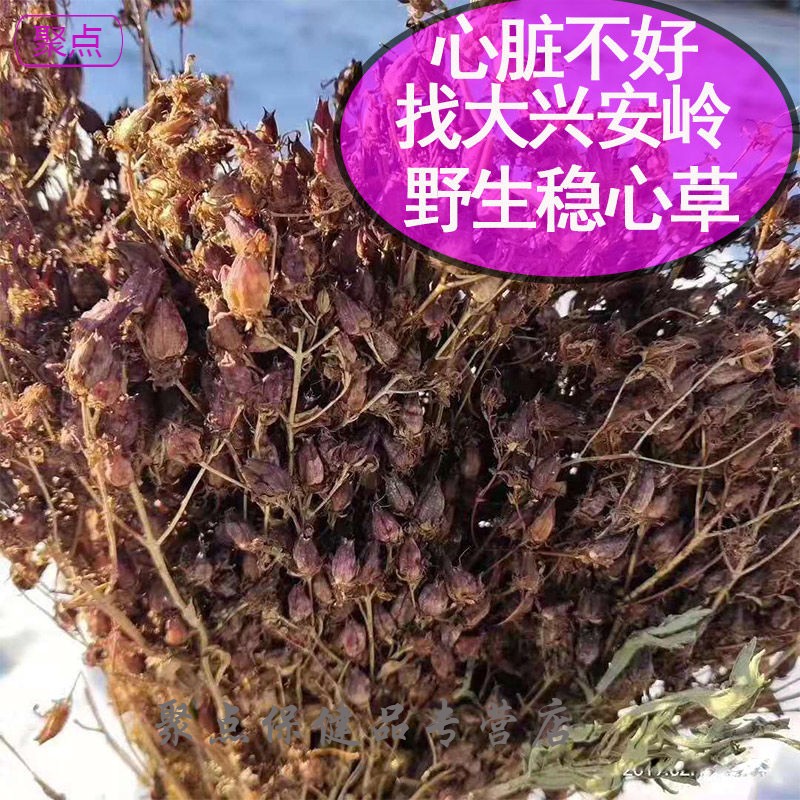 新货大兴安岭稳心草鹿心草东北特产中草花草茶100g