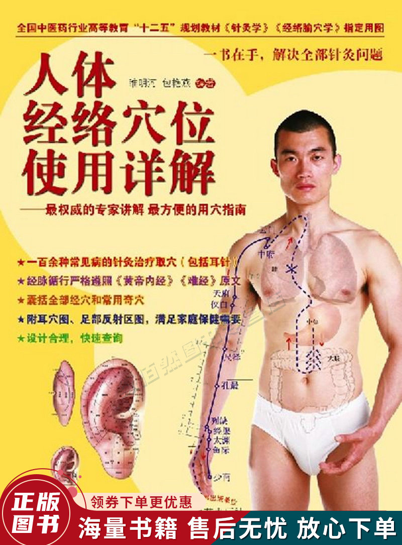 人体经络穴位使用详解