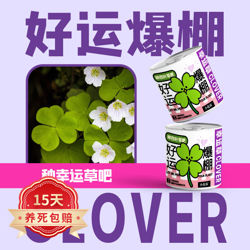 欧悟网红款祝福儿童盆栽绿植花卉新款小花农趣味植物礼品种植桌面摆件 好运爆棚（幸运草）