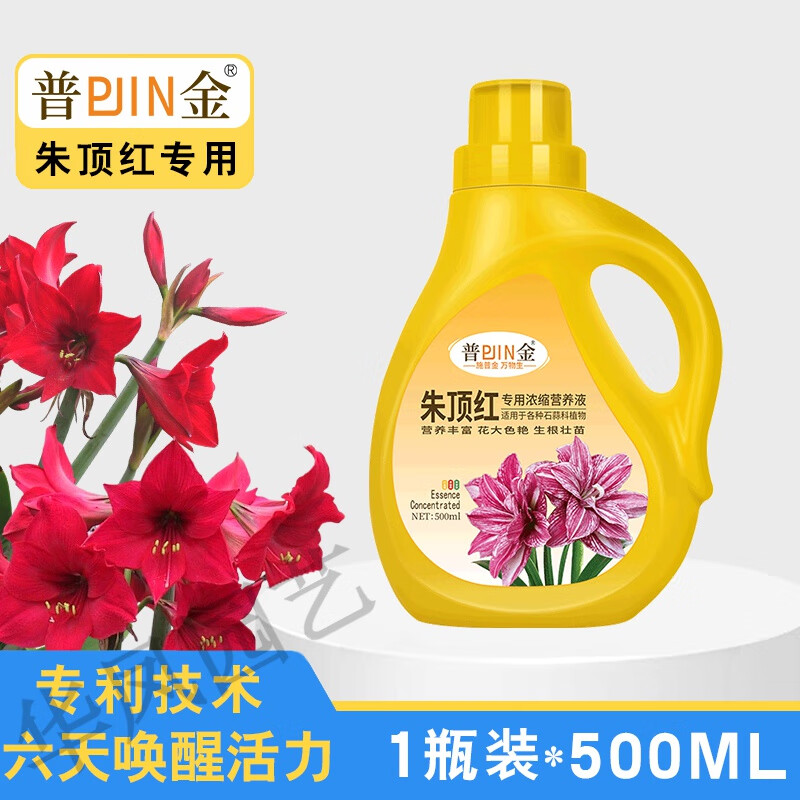 朱顶红专用营养液肥料家庭盆栽红狮专用水溶肥治黄叶植物养护 朱顶红