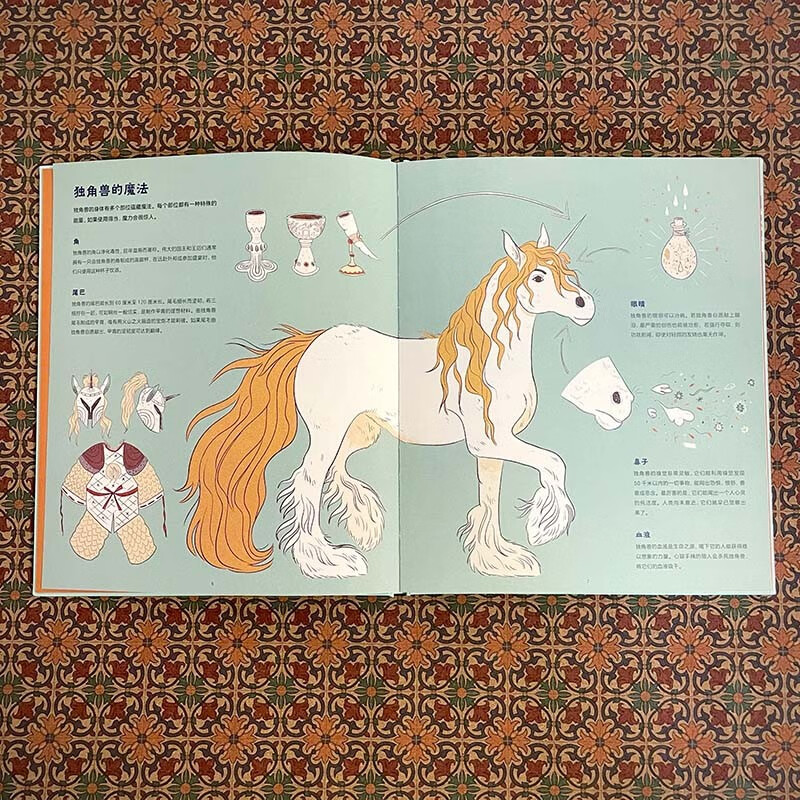 关于独角兽的几乎全部真相