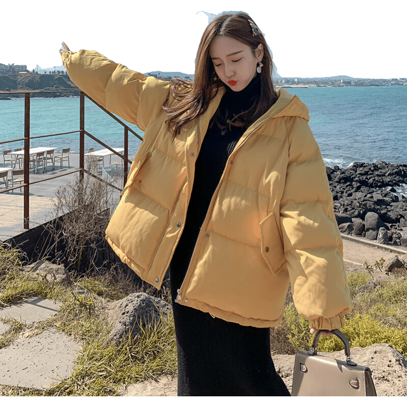 女士棉服价格行情走势图|女士棉服价格走势图