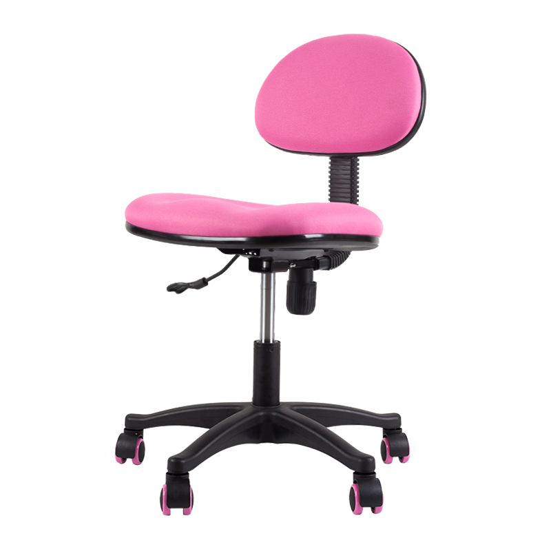 家家双龙 学生学习椅 人体工学升降学习书桌椅 电脑椅办公座椅小学生写字椅子调整坐姿学习椅子 出口欧美 DTX-603-04【公主粉】