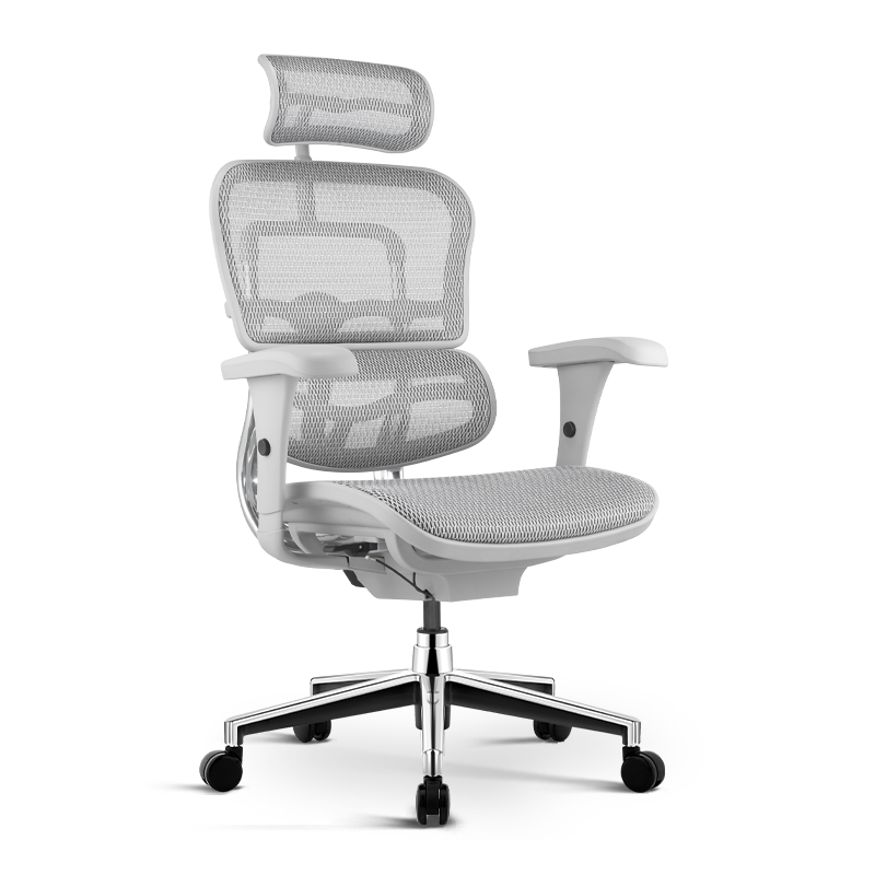 保友金豪b高配版 人体工学椅 电脑椅 电竞椅 办公椅子 老板椅 靠背可躺座椅 灰框-银白色(美国网)
