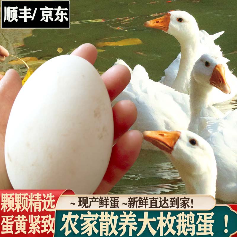 京东蛋类如何查看历史价格|蛋类价格走势图