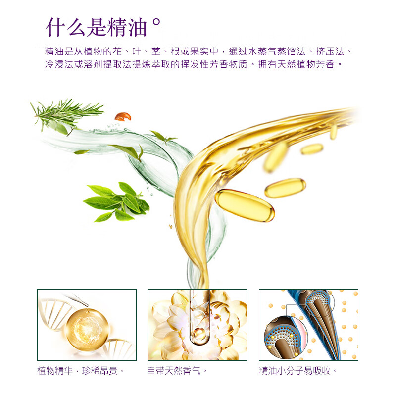蜂花无硅油精油精华素柔顺莹润亮泽滋养改善干枯毛糙润发乳滋润护发素 馥魅修护精油精华素 500ml*1瓶