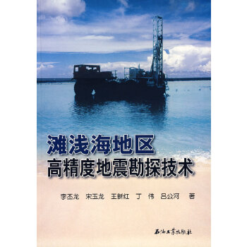 滩浅海地区高精度地震勘探技术 李丕龙【正版书籍,畅读优品】
