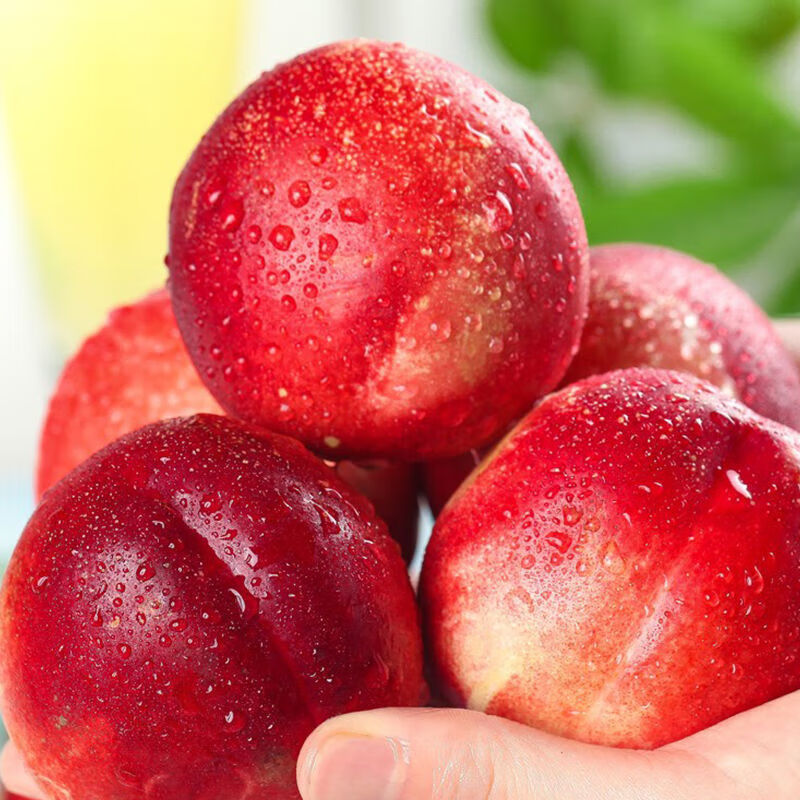 马保果澳洲脆甜油桃新鲜水果当季蜜桃孕妇水果礼盒整箱 1斤精选