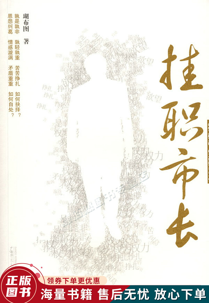 挂职市长