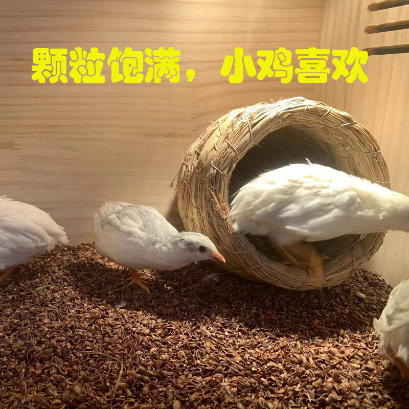 伊潋眸芦丁鸡柏籽壳垫料柏子壳仓鼠柏树壳仔宠物卢丁鸡鹌鹑无尘发酵床