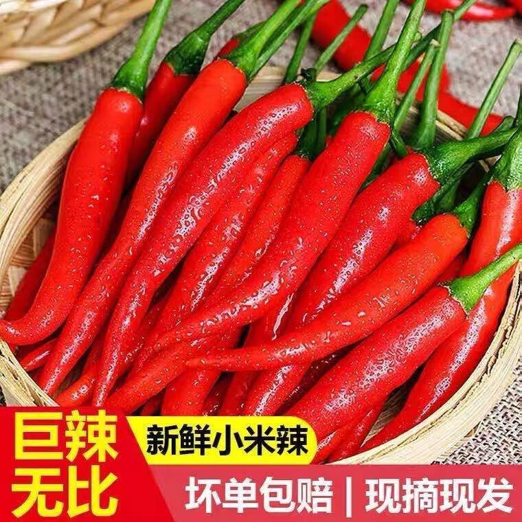 小米辣新鲜红小米朝天辣指天椒尖椒红辣椒贵州现摘魔鬼辣特辣香辣 1斤