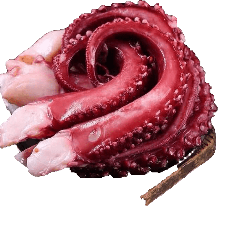 软足类价格历史最低|软足类价格比较