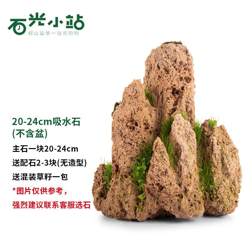 石光小站吸水石天然石頭盆景魚缸庭院中大型魚池造景吸水石原石上水石盆景 20-24cm吸水石不含盆