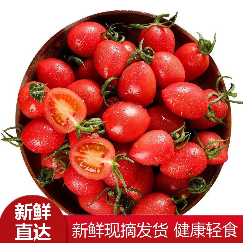 山东新鲜千禧圣女果 新鲜现摘 玲珑小番茄小西红柿 精选果3斤装(净重