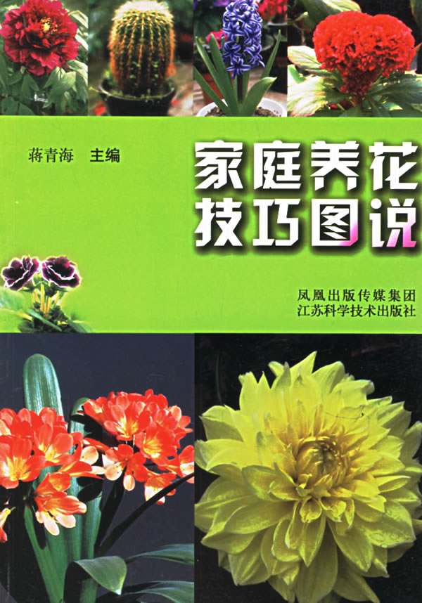 家庭养花技巧图说【正版图书】