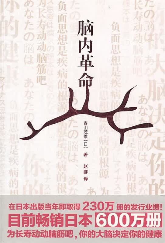 脑内革命【正版图书，放心购买】