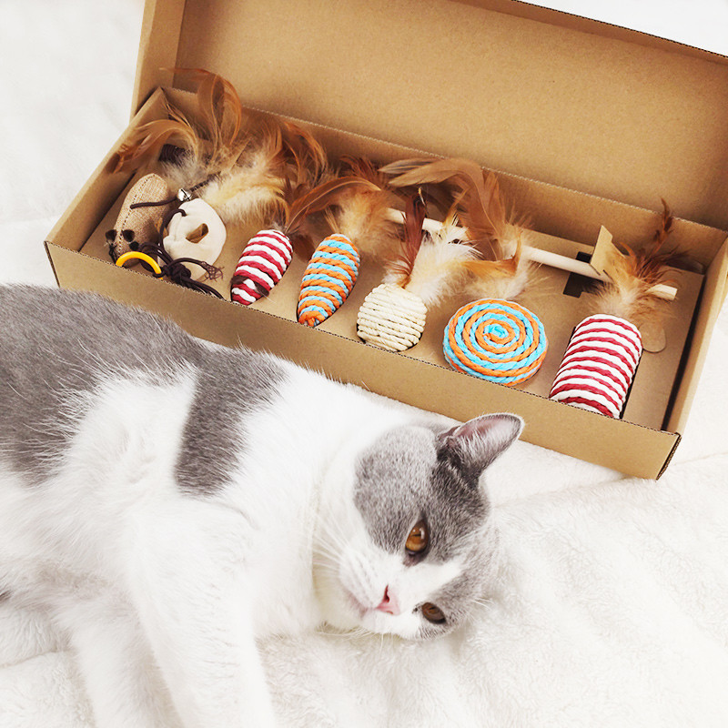 Chongdogdog 猫玩具逗猫玩具礼盒猫咪玩具用品自嗨解闷磨牙耐咬剑麻套装羽毛老鼠铃铛组合宠物玩具