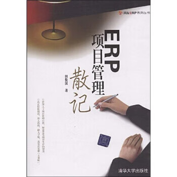ERP项目管理散记【正版图书】