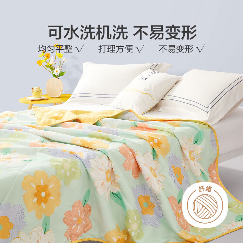 百丽丝 夏被抗菌印花空调被纤维被夏季被子床上用品 春意盎趣【清新花卉系列】 200cmx230cm