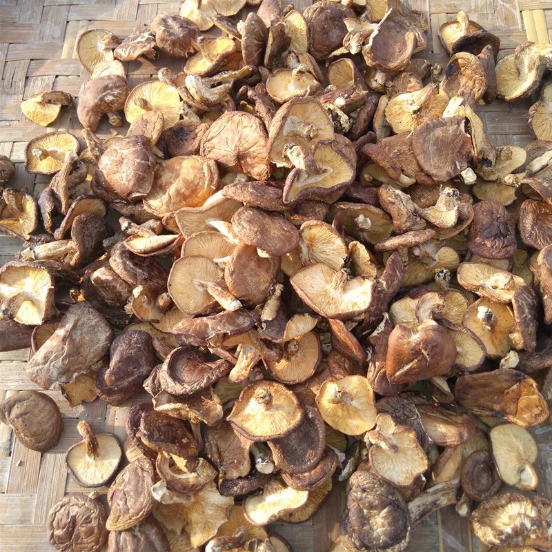 菌妙广西特产特产昭平大山薄皮香菇500g食用菌香菌香信半品种散装干货