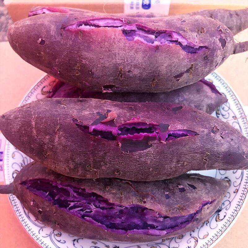【精选直发】沙地紫薯新鲜红薯地瓜2/5/10斤小紫薯紫心番薯 正宗紫薯紫罗兰【好货保证】 【5斤装】新鲜小紫薯