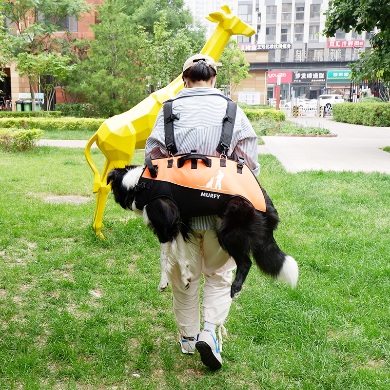 背狗神器骑行中大型犬宠物中大型犬背包背狗神器背狗包双肩包便携外出