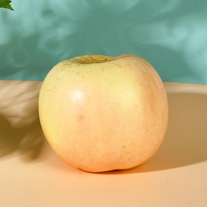 古寨山山东维纳斯黄金苹果新鲜水果直达 单果70mm+4.5斤净重