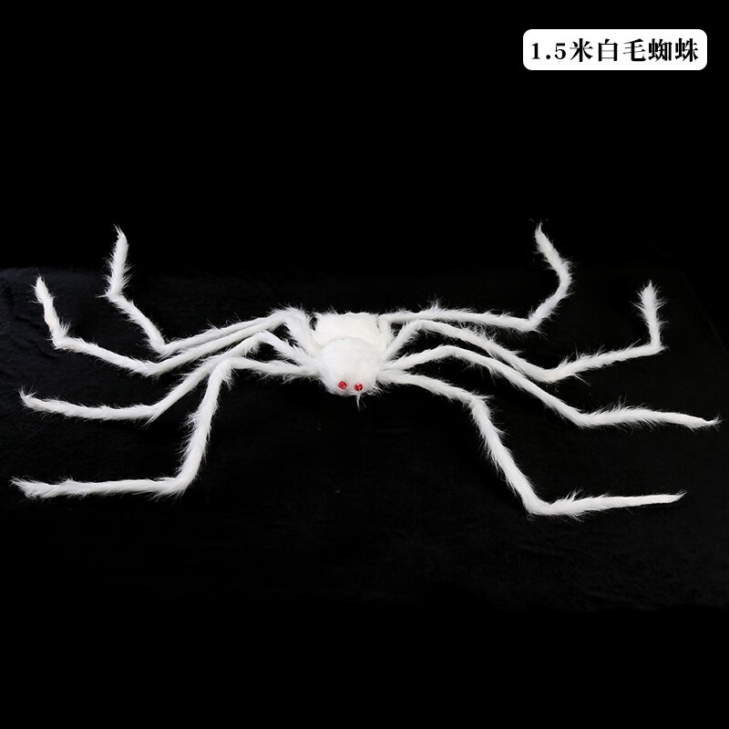 5米白毛蜘蛛