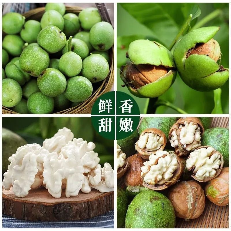 译蒙之味【顺丰】四川大凉山新鲜湿核桃去青皮核桃薄皮绿皮现摘生嫩山黑桃 净重5斤【核桃夹+网兜+彩箱】