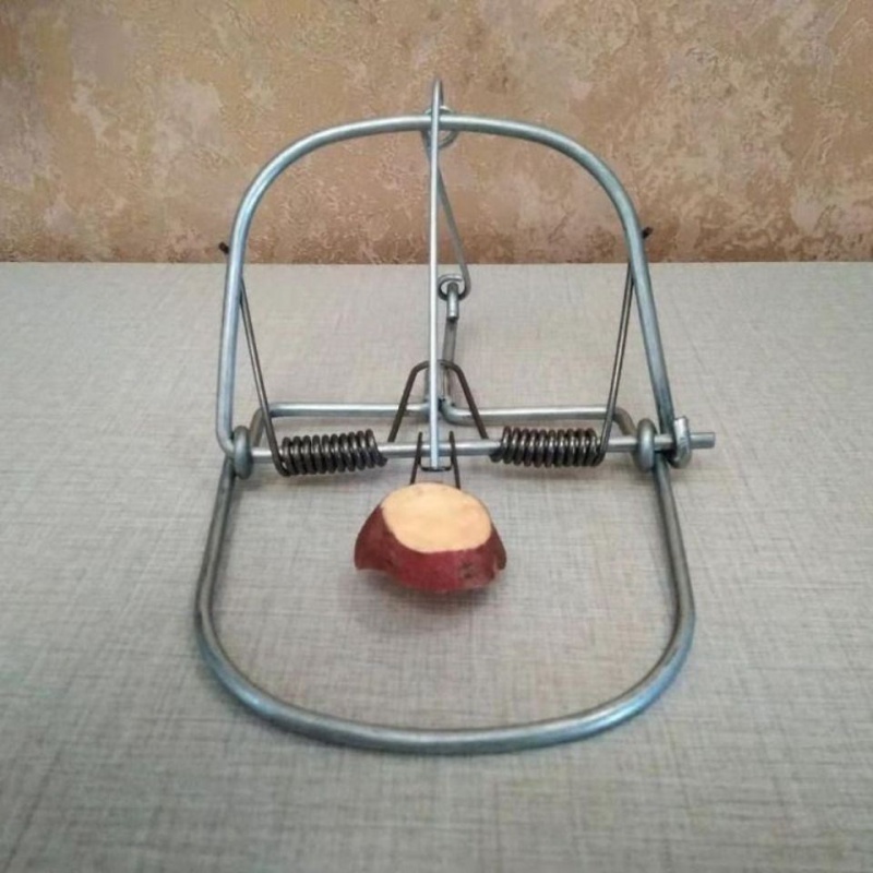 晗畅5个装家用加强野外强力老鼠夹捕鼠器灭鼠神器捉田鼠铁质夹子地夹